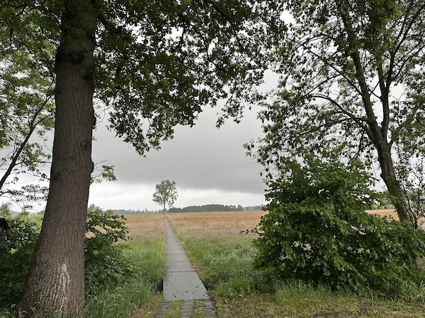 Nördlicher Kinhin-Pfad – Noorder Poort 2025