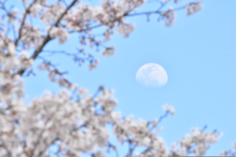 NK – Gifu, Japan